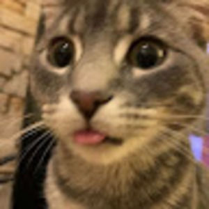 Meet your Posher, Lauriane